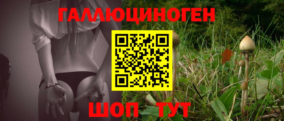 Галлюциногенные грибы MAGIC MUSHROOMS  Вход с VPN  Тихорецк 